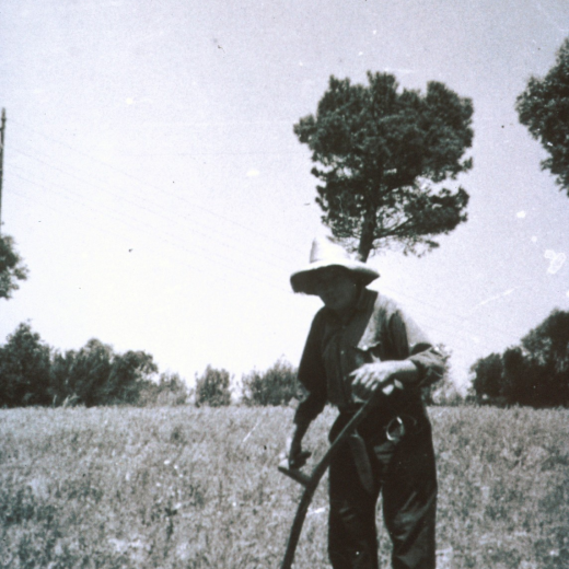 En Lluís Prats amb la dalla, eina característica per segar herba.