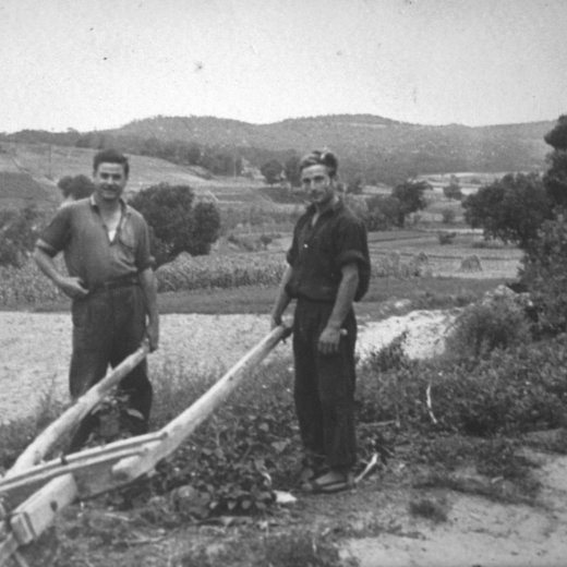 Els germans Josep i Lluís Presas Sabé mostrant un model d'arada plana a punt d'enganxar-hi el cavall