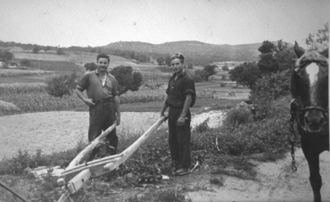 Els germans Josep i Lluís Presas Sabé mostrant un model d'arada plana a punt d'enganxar-hi el cavall