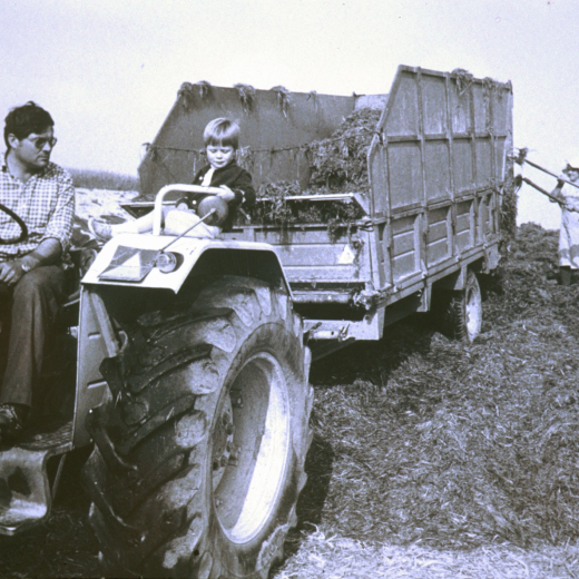 En Miquel Ruiz i el seu fill dalt del tractor i els seus sogres, Josep M Suris i Maria Gener, treballant tos a l'exportació agropecuària de Can Ribas.