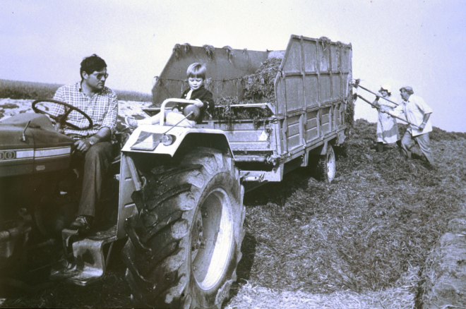 En Miquel Ruiz i el seu fill dalt del tractor i els seus sogres, Josep M Suris i Maria Gener, treballant tos a l'exportació agropecuària de Can Ribas.