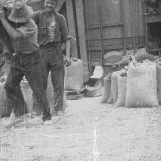 Treballs de batre el Juliol de 1973. 

En Josep M Ciurana ajudant a carregar un sac de blat a un dels integrants de l'equip de batadors.

Aquesta feina del batre encara que fos amb màquina, era un dels treballs més 