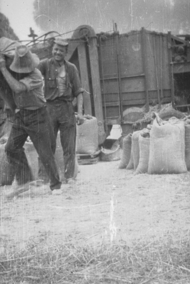 Treballs de batre el Juliol de 1973. 

En Josep M Ciurana ajudant a carregar un sac de blat a un dels integrants de l'equip de batadors.

Aquesta feina del batre encara que fos amb màquina, era un dels treballs més 