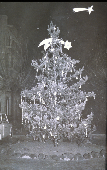 L'arbre de Nadal a la plaça de Maçanet.