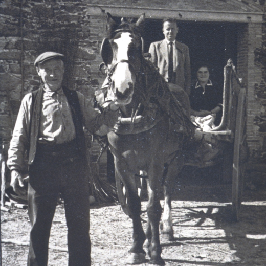 En Francisco Oliveres menant el cavall; a dalt del carro el seu fill Josep i la nora Maria.