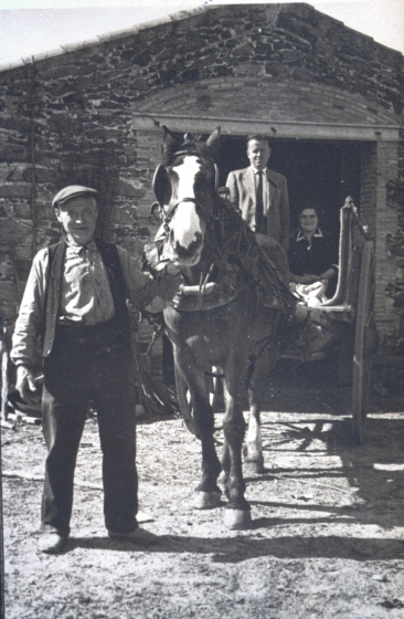 En Francisco Oliveres menant el cavall; a dalt del carro el seu fill Josep i la nora Maria.