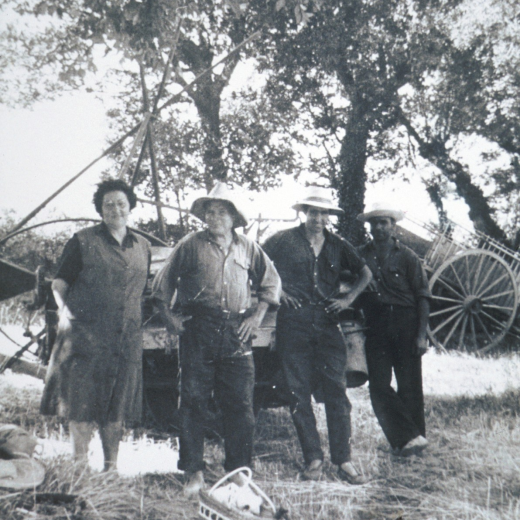 Maria Bancells, Lluís Prats, Lluís Sureda i Llorenç Prats a punt per esmorzar en el camp en un dels treballs de la sega.