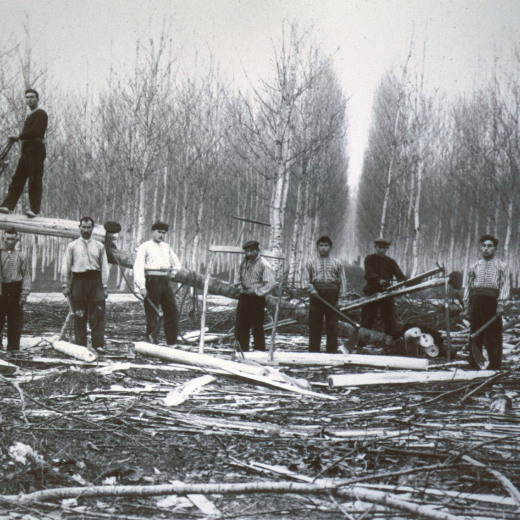 Grup de treballadors en ple estany a la tasca de serrar taulons i llates.