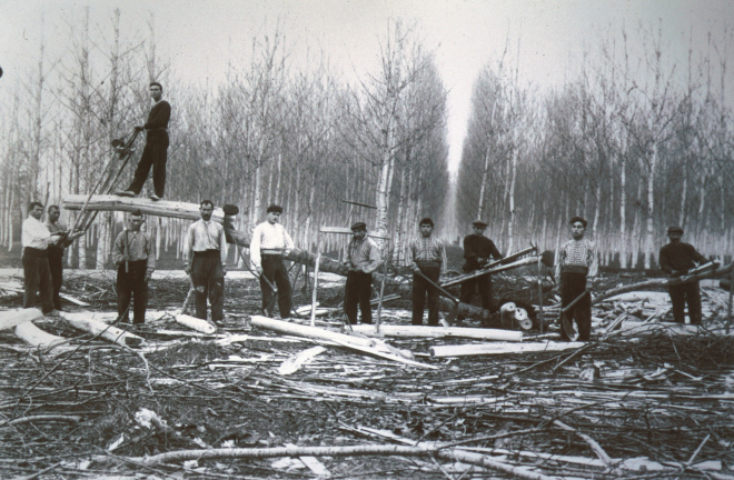 Grup de treballadors en ple estany a la tasca de serrar taulons i llates.