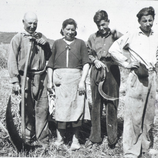 La família Tomàs en els treballs de sega el juny de 1952.

D'esquerra a dreta: en Llorenç Tomàs, la seva dona Cristina, el seu nebot Josep i el seu fill Antoni.