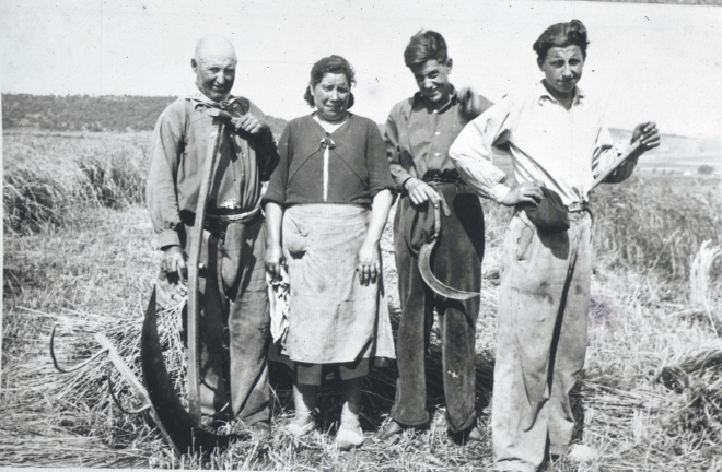 La família Tomàs en els treballs de sega el juny de 1952.

D'esquerra a dreta: en Llorenç Tomàs, la seva dona Cristina, el seu nebot Josep i el seu fill Antoni.