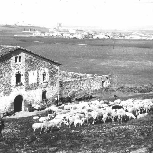Vista de la masia Can Roura amb el ramat d'ovelles de la casa i al fons la vila de Maçanet.