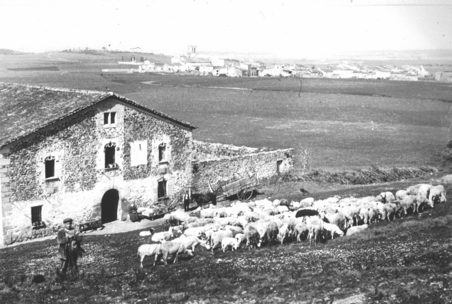 Vista de la masia Can Roura amb el ramat d'ovelles de la casa i al fons la vila de Maçanet.